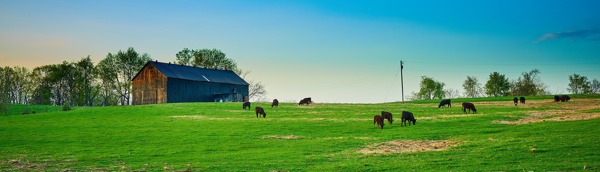 towns-banner-1-2000x573